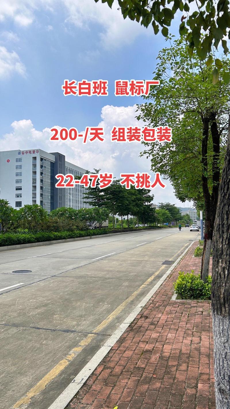芷垨信息咨询.:#找工作关注我 #同城发现 #打工人 #找工作 #电子厂